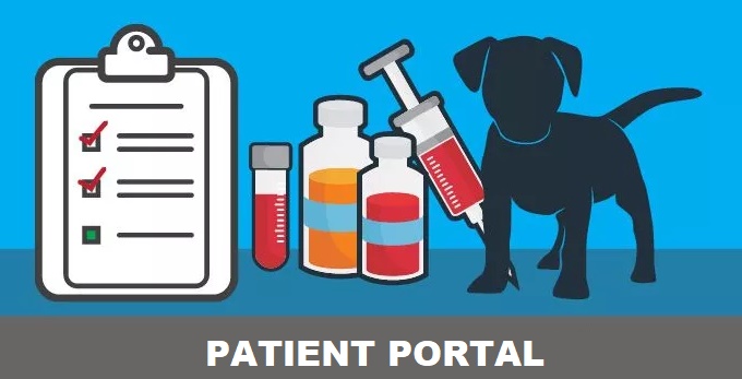 Patient Portal