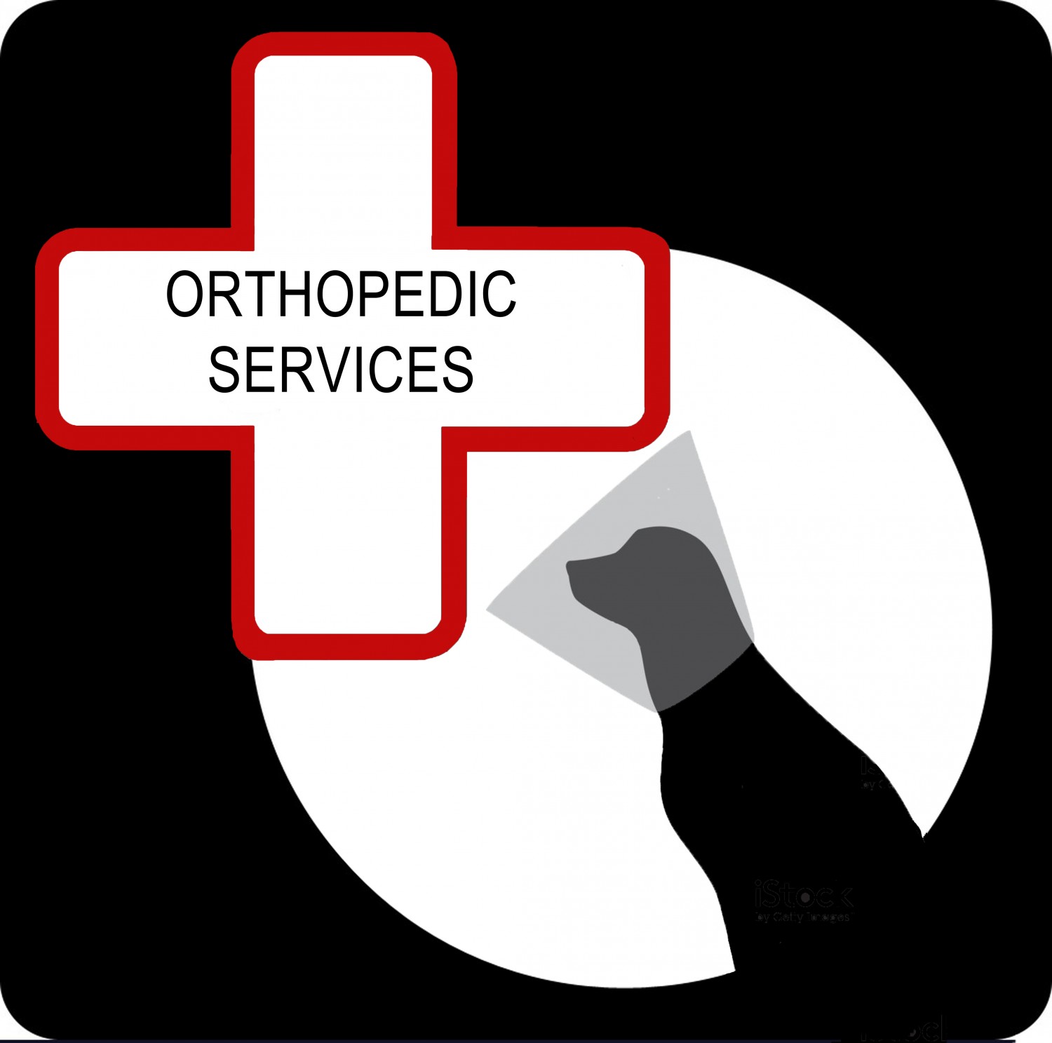 Orthopedic Services Banner