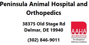 Peninsula Animal Hospital Address / AAHA