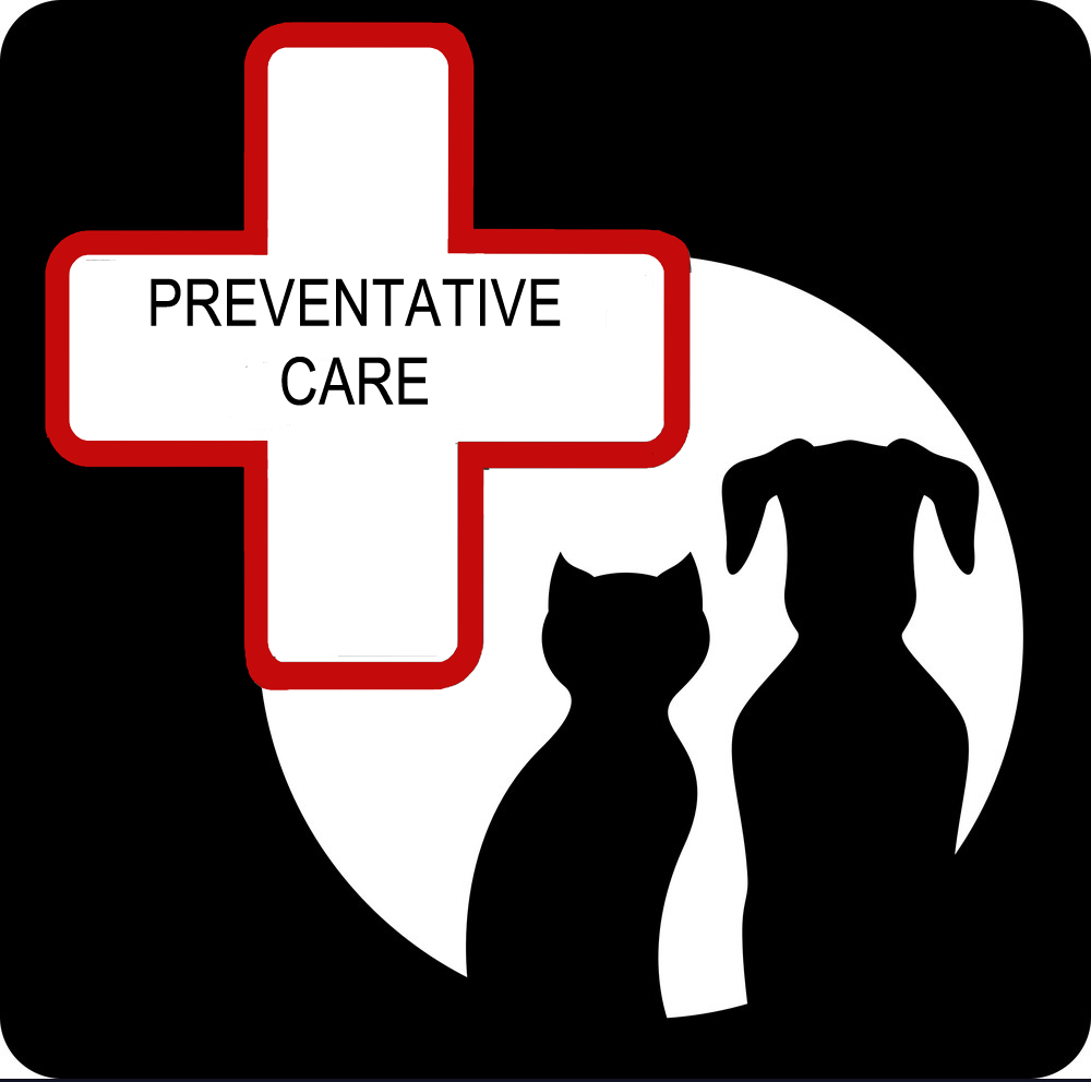 preventative care banner