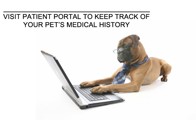 Patient Portal